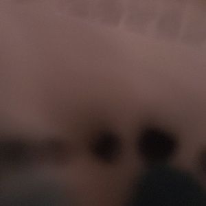 Meet your Posher, Annabelle